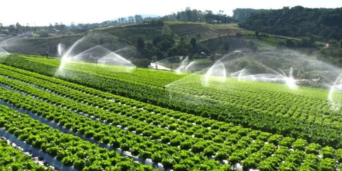 Automated Irrigation System Market is set for a Potential Growth Worldwide: Excellent Technology Trends with Business An