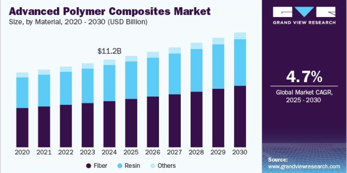 Advanced Polymer Composites Market: Investment Analysis and Market Entry Strategies