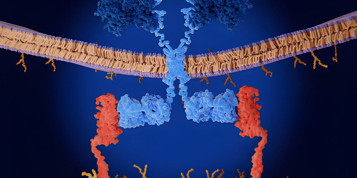 Exploring the CD-19 Market: Innovations, Trends, and Emerging Therapies