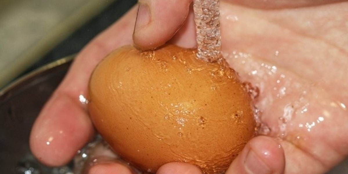 Egg Wash Alternative Market Barriers and Challenges Limiting Growth in Global Baking and Culinary Industry
