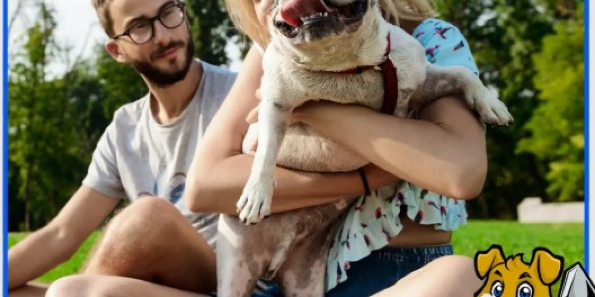 Hassle-Free Dog Poop Pickup in DFW – Keep Your Yard Clean & Fresh