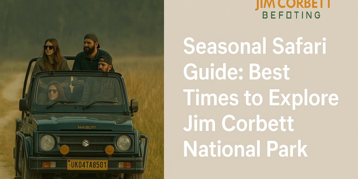 Seasonal Safari Guide: Best Times to Explore Jim Corbett National Park