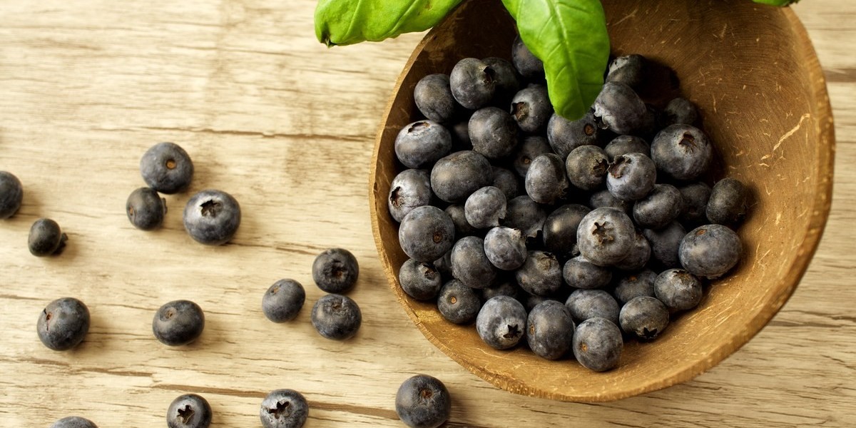 Competitive Landscape of the Maqui Berries Market