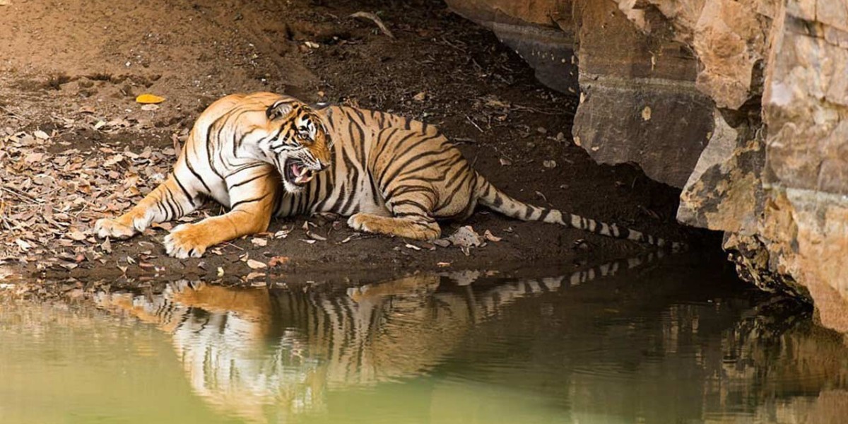 Discover India’s Rich Heritage with Delhi Agra Jaipur Tours