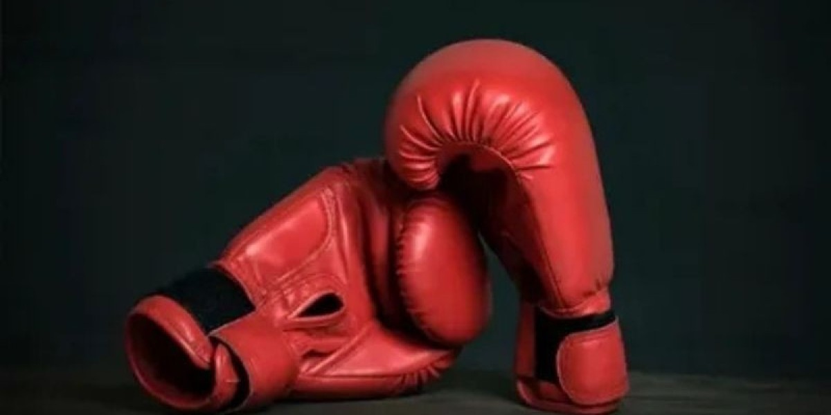 Competitive Landscape of the Global Boxing Gear Market