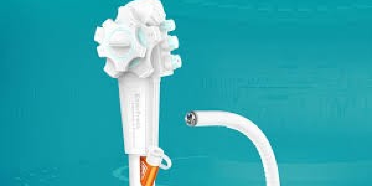 Disposable Endoscopes Market Challenges On Sustainability And Environmental Impact
