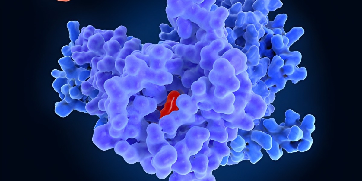 Evolving Role of BTK Inhibitors in Oncology and Immunology