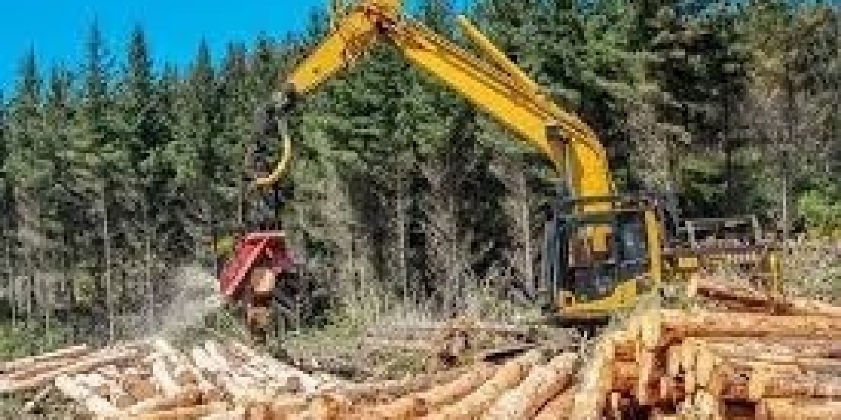 Global Forestry Lubricants Market Outlook 2021–2030: Size, Share & Future Growth