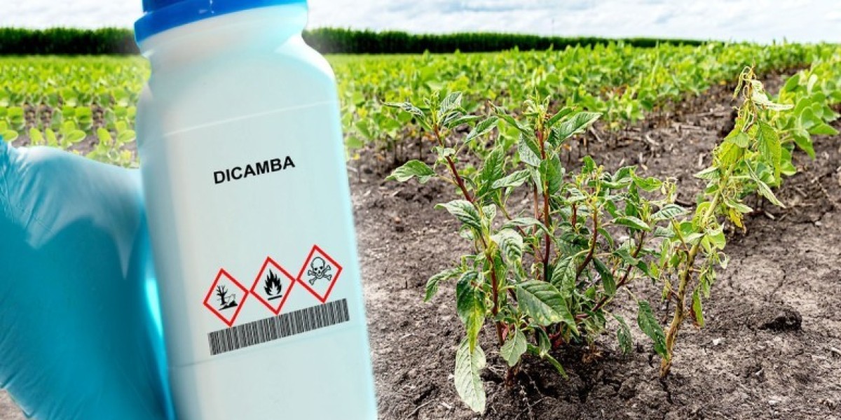 Dicamba Market 2025 | Scope of Current and Future Industry 2035