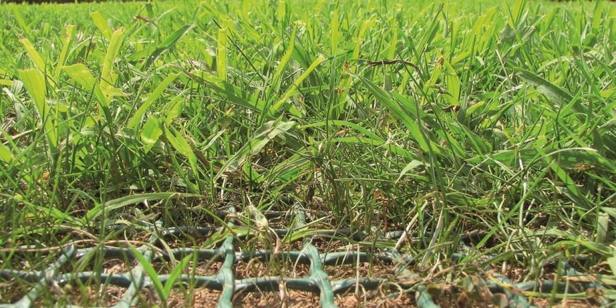 Innovations in Turf Protection: Chemicals, Netting & Biological Solutions