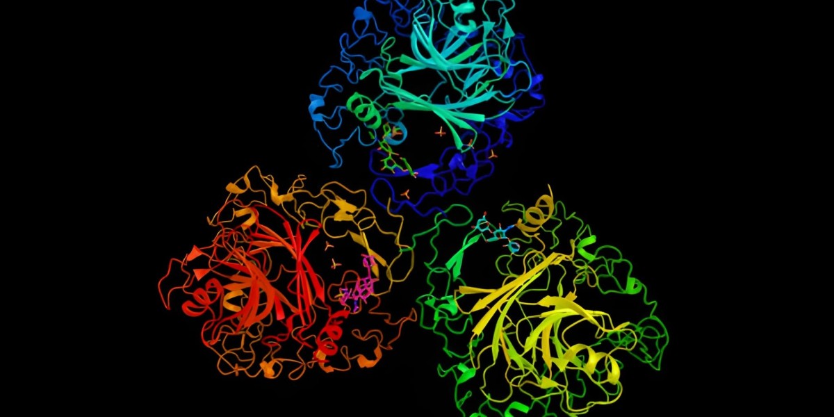 Exploring the CD-38 Market: Emerging Therapies and Future Insights