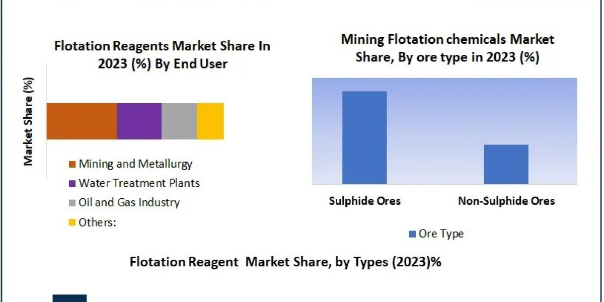 Technological Innovations in Flotation Reagents Processing and Applications