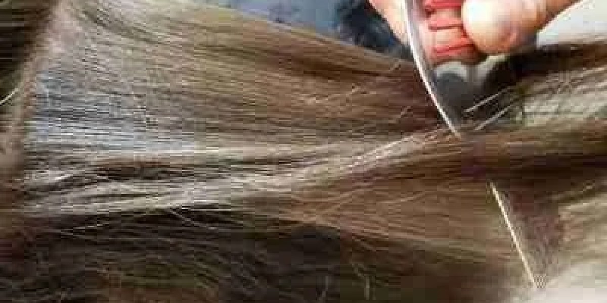 Head Lice Treatment That Actually Works: Expert Tips & Proven Solutions
