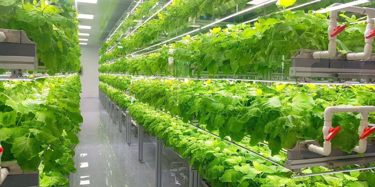 Indoor Agriculture Market is Booming Worldwide | Gaining Revolution In Eyes of Global Exposure
