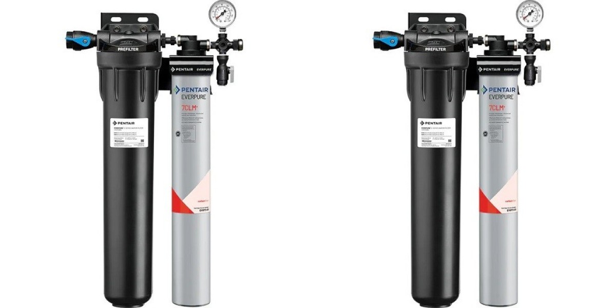 Why Every Home Needs an Everpure Water Filter System