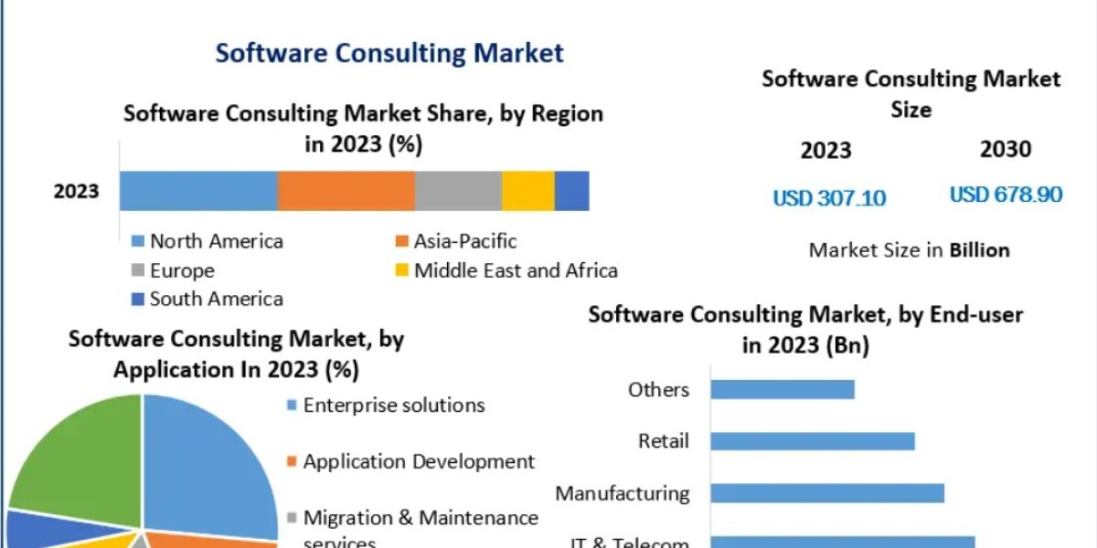 Software Consulting Market: Driving Efficiency and Innovation for Businesses 2030