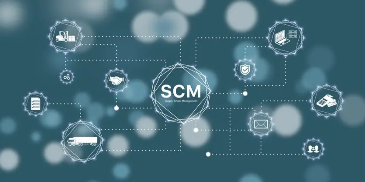 Supply Chain Management (SCM) Software Market Size Analysis, Growth Trends & Forecast to 2033