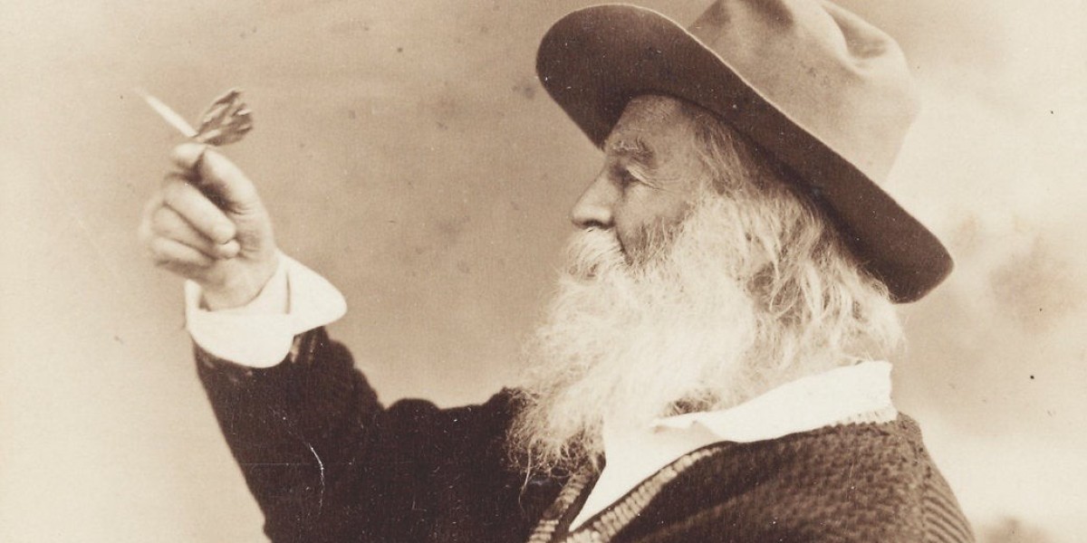 How Did Critics React to Walt Whitman's Work?