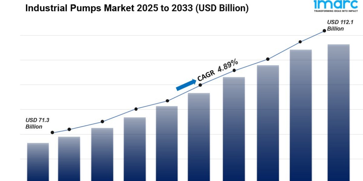 Industrial Pumps Market 2025 Edition: Industry Size, Share, Growth and Competitor Analysis