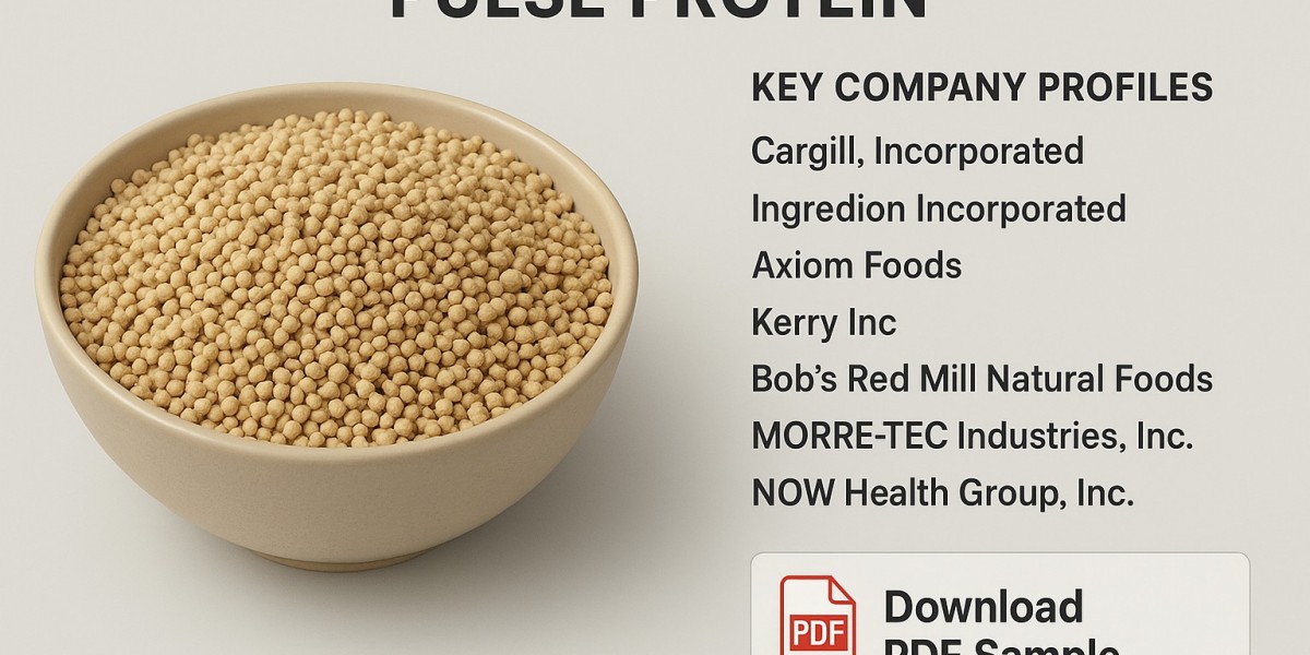 Pulse Protein Market Poised for Robust Growth on Clean-Label, Plant-Based Demand Through 2031