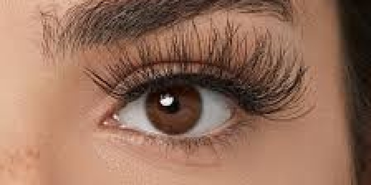 False Eyelashes Market Opportunities Identifying High Growth Regions And Consumer Preference Patterns
