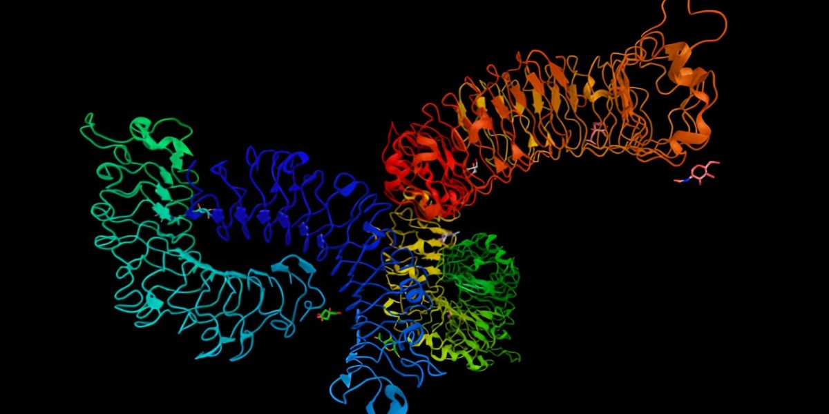 Exploring the CD-20 Market: Trends, Therapies, and Future Insights