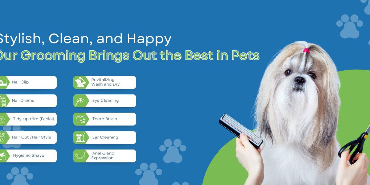 Comprehensive Guide to Mobile Pet Grooming and Specialized Services in Dubai