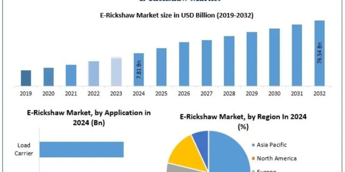 E-Rickshaw Market Segmentation and Strategic Growth Insights 2025–2032