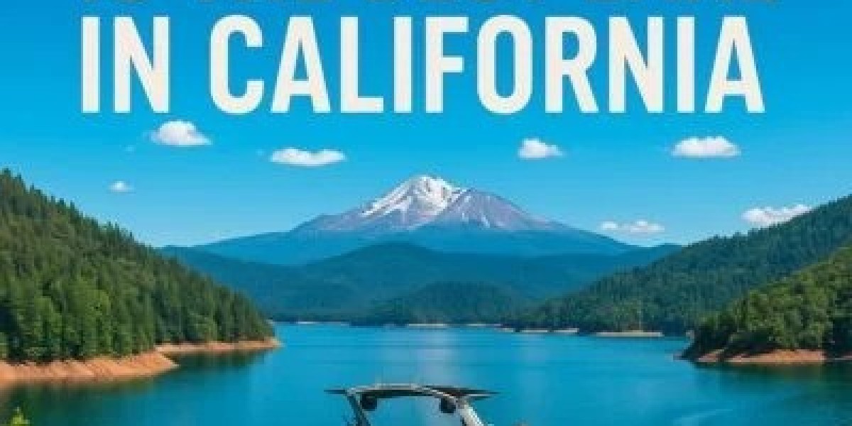 The Ultimate Guide to Fishing at Shasta Lake - Tips, Seasons & Species
