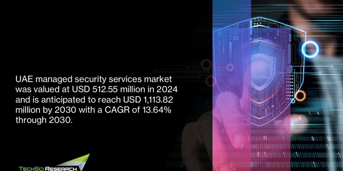 UAE Managed Security Services Market 2030: Growth Size, Top Companies & Forecast Insights