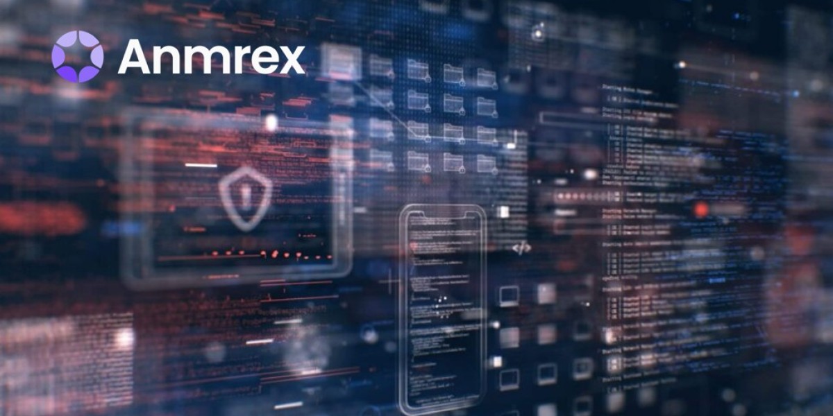 Anmrex Exchange Outlook: A New On-Chain Paradigm Where Security and Privacy Advance Together
