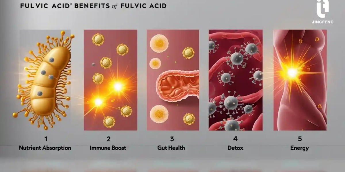 Fulvic Humic Acid Benefits – 5 Science-Backed Health & Wellness Advantages