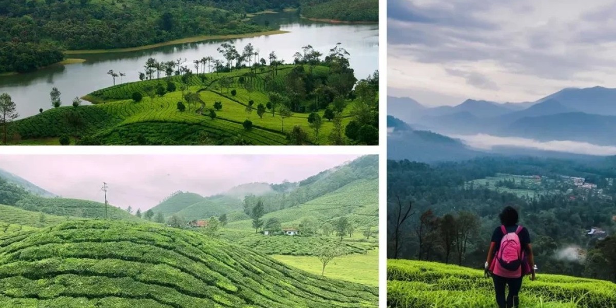 A Complete Guide to the Best Kerala Tourist Places for Nature Lovers