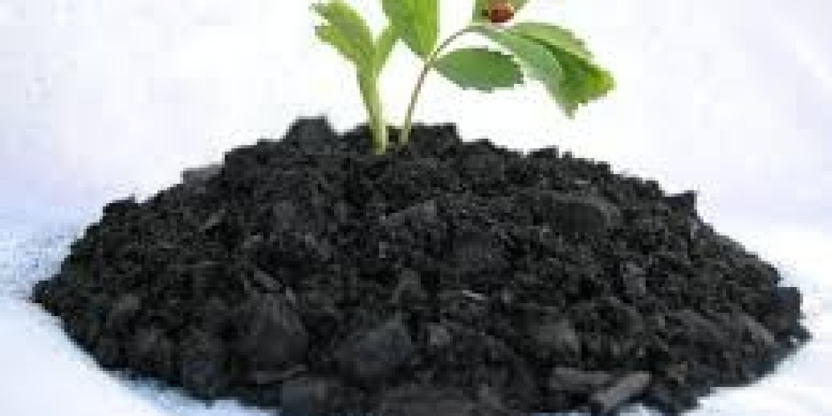 Biochar Market Strategic Investments Driven By Rising Awareness Of Climate Change Mitigation