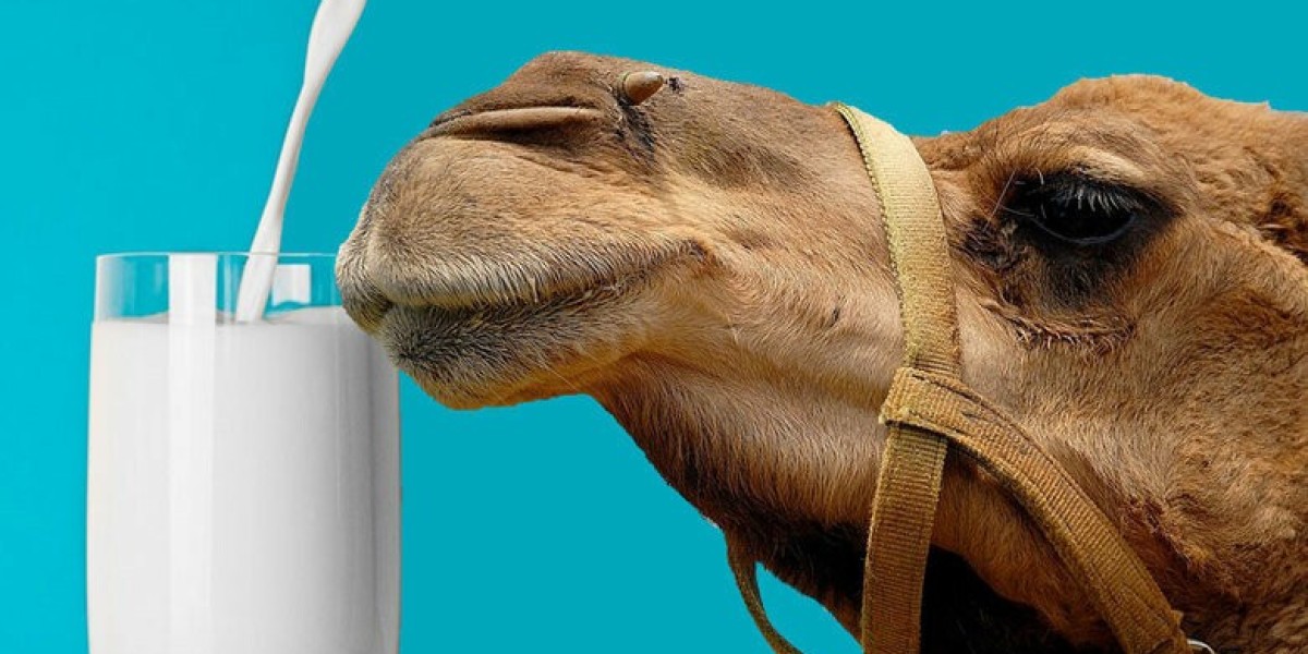 Camel Milk Market Dynamics Shaping Global Growth, Consumer Demand, and Innovation Across Regions