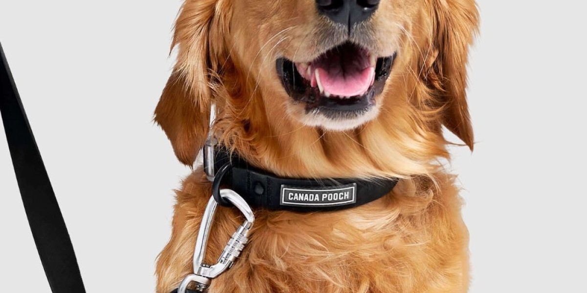 Luxury Dog Collars: The Perfect Blend of Elegance, Comfort, and Quality for Your Furry Friend