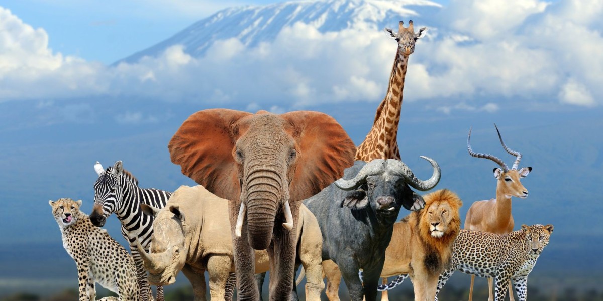 80 Animal Quotes to Embrace Nature’s Beauty