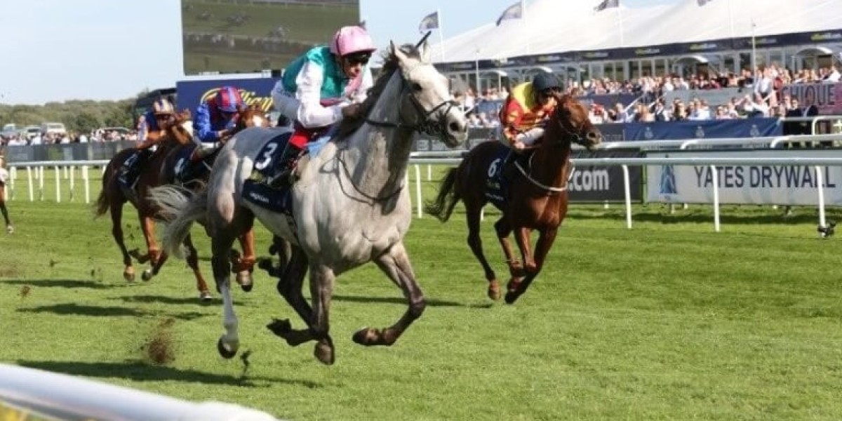 Understanding Horse Betting Terms – Learn the Vocabulary of Smart Betting