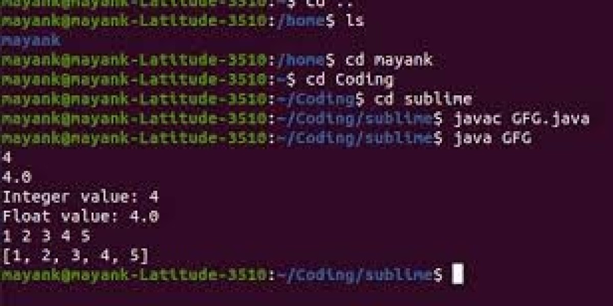 Programming Input: Understanding How Data Enters a Program