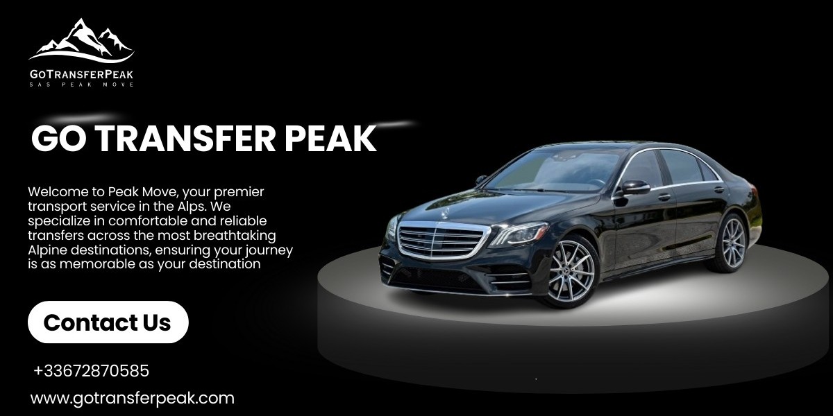 Safe Alps Airport Transfer Company for Families