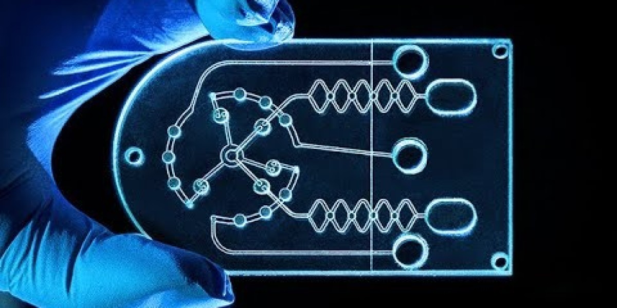 Microfluidics Market Overview: Technology Advancements & Future Outlook