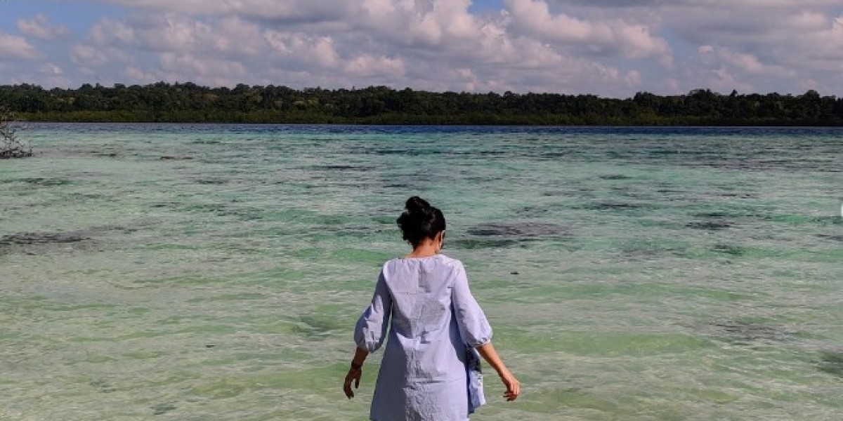 Plan Your Dream Trip with the Best Travel Agency for Andaman Tour