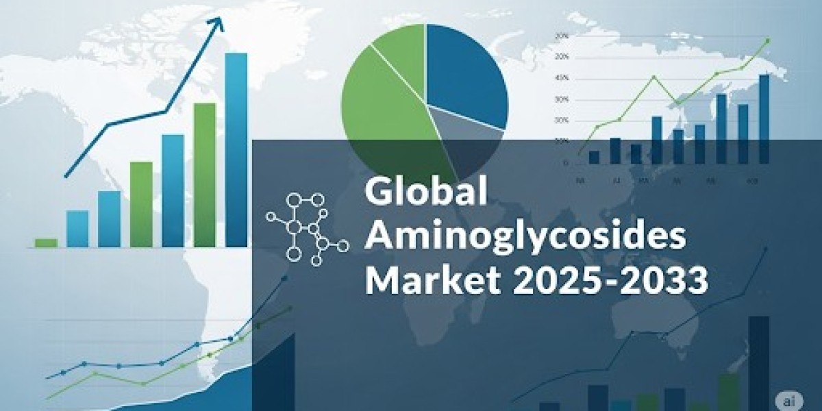 Global Aminoglycosides Market: Key Manufacturers and Antimicrobial Resistance Trends 2025–2033
