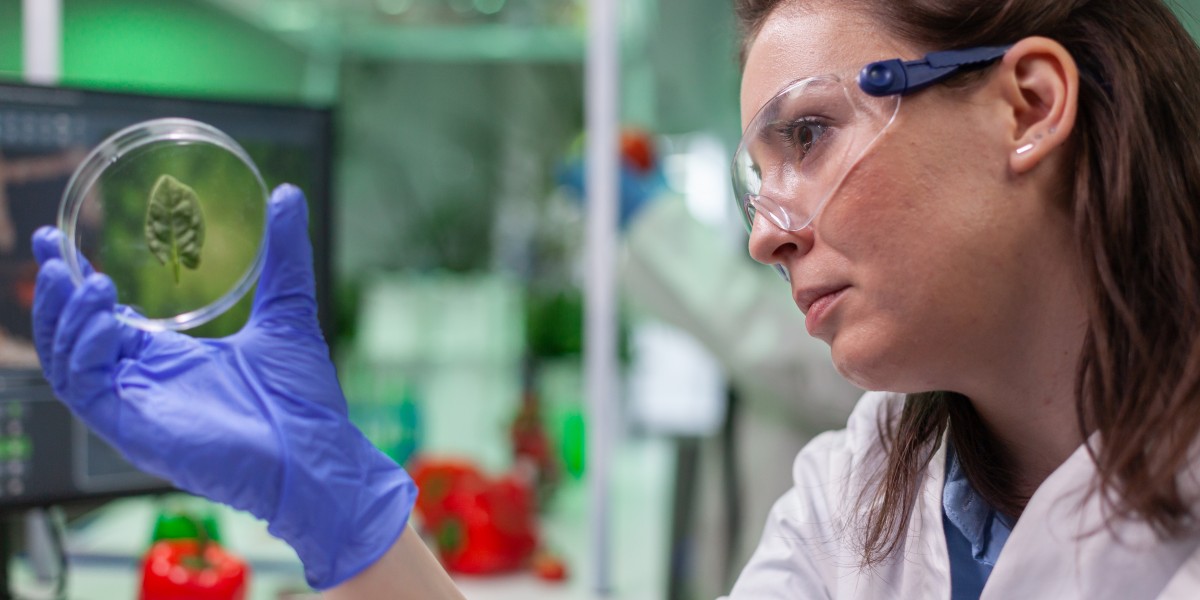 U.S. Biofilms Treatment Market Grows on Rising Healthcare and Industrial Applications