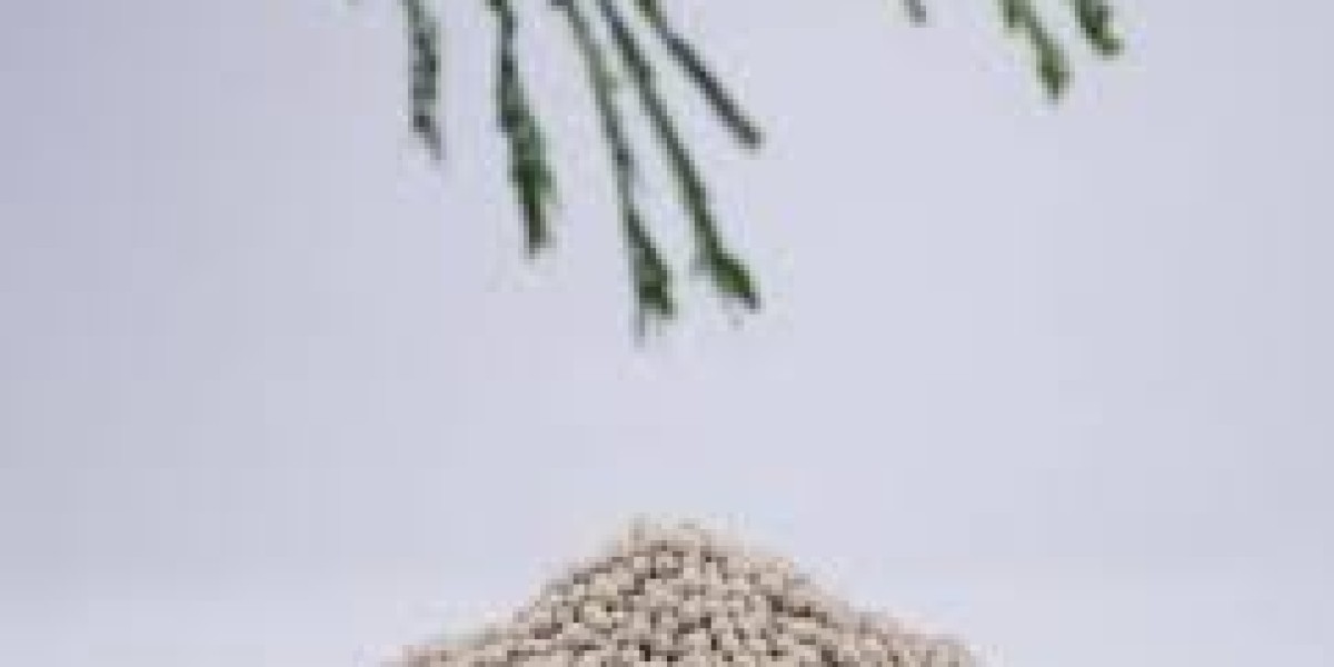Silicon Fertilizers Market evolving as a key component in precision and sustainable agriculture systems