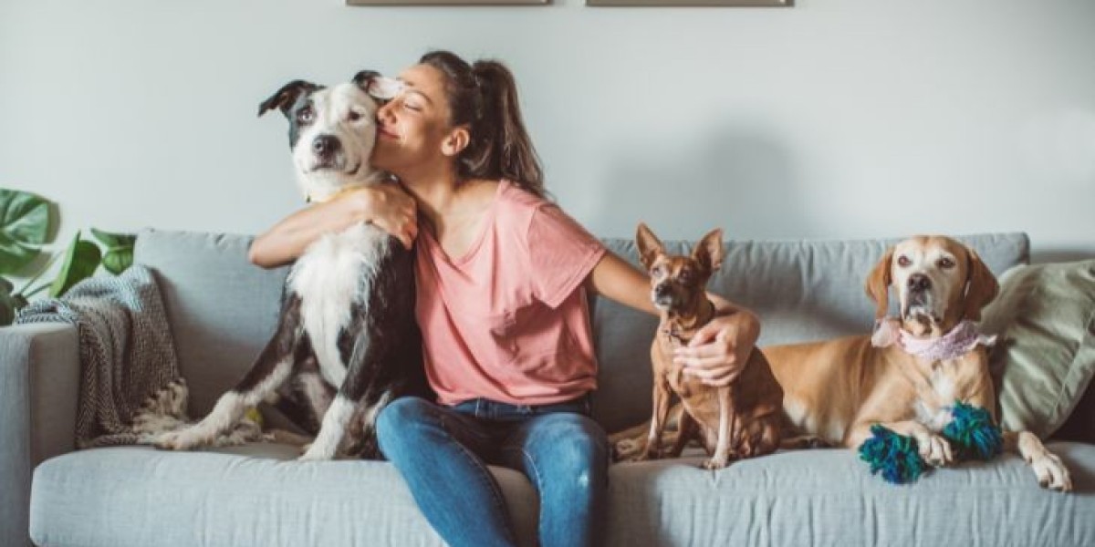 Pet Tech Market: Revolutionizing Pet Care with Innovative Technology