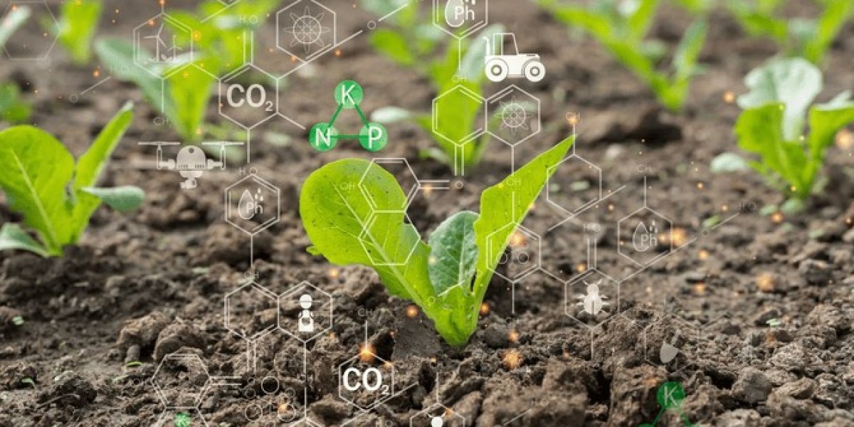 The Future of Sustainable Food with Regenerative Farming