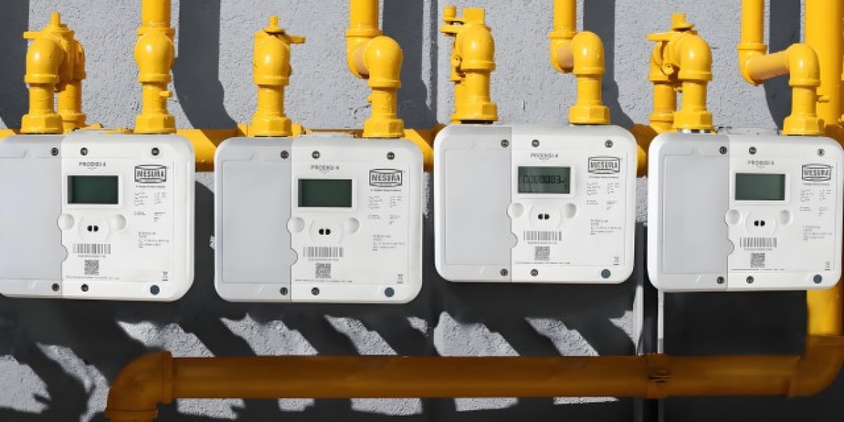 Global Smart Gas Meter Market Forecast: Energy Efficiency & Smart Grid Integration