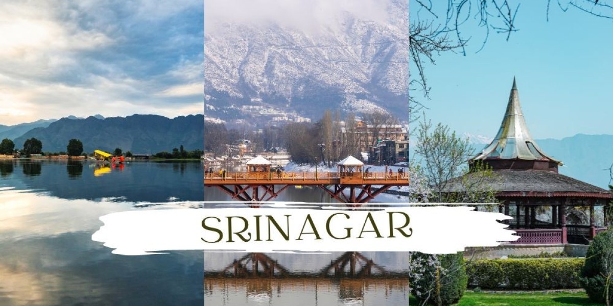 Through the Lanes of Srinagar: A Taxi Ride to Remember