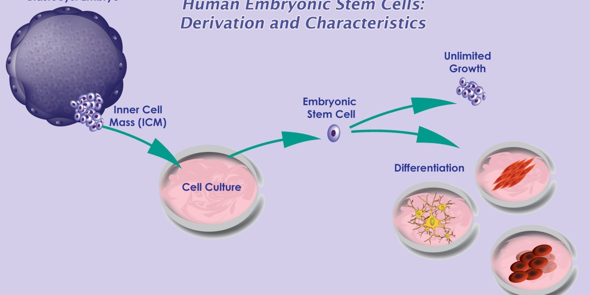 Therapeutics and Diagnostics: Human Embryonic Stem Cell Market Trends